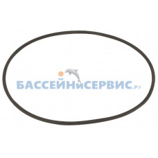 Прокладка-кольцо корпуса насосов SWIM Mayer Schwimmbad